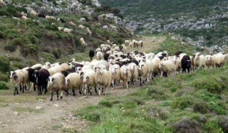 Î‘Ï€Î¿Ï„Î­Î»ÎµÏƒÎ¼Î± ÎµÎ¹ÎºÏŒÎ½Î±Ï‚ Î³Î¹Î± Î£Ï…Î½ÎµÏ‡Î¯Î¶Î¿Î½Ï„Î±Î¹ Î¿Î¹ Ï€Î»Î·ÏÏ‰Î¼Î­Ï‚ ÏƒÏ„Î¿ Ï€ÏÏŒÎ³ÏÎ±Î¼Î¼Î± Î²Î¹Î¿Î»Î¿Î³Î¹ÎºÎ®Ï‚ ÎºÏ„Î·Î½Î¿Ï„ÏÎ¿Ï†Î¯Î±Ï‚ ÏƒÏ„Î·Î½ Î .Î•. Î‘Î¹Ï„Ï‰Î»Î¿Î±ÎºÎ±ÏÎ½Î±Î½Î¯Î±Ï‚